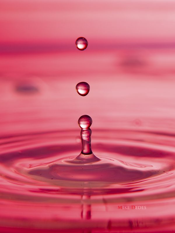 macro photography